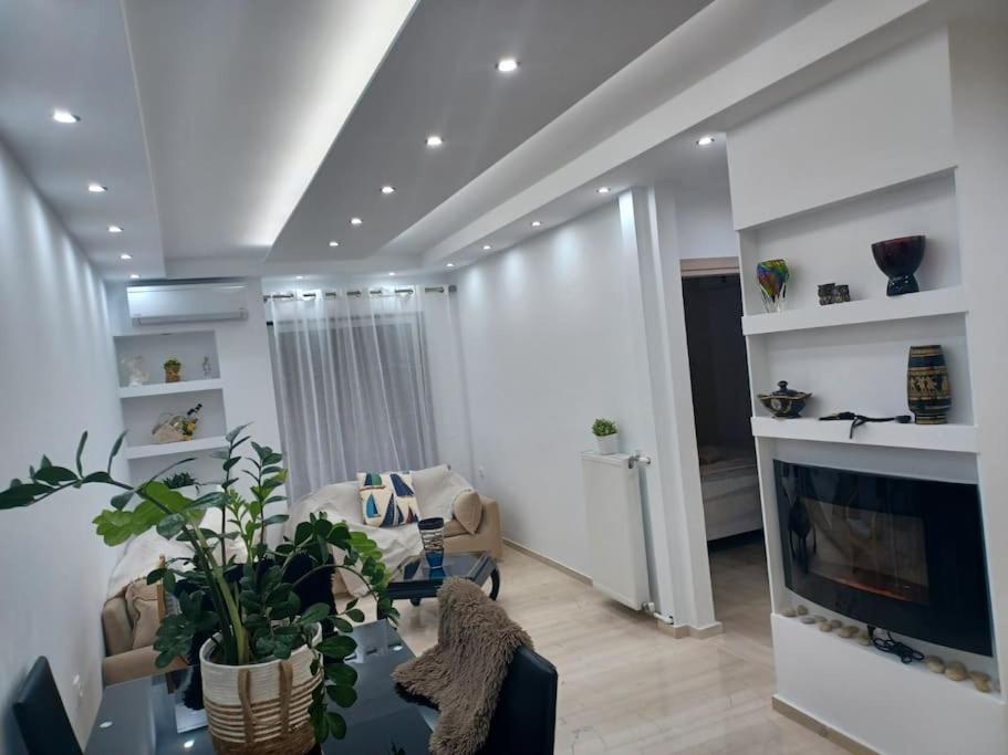 Cozy Renovated Apartment Atene Esterno foto